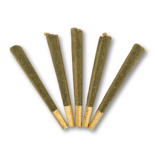 Plutonium Pre Rolls Blüten Lucky Hemp
