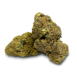 Master Dwarf Cali Pack Blüten Lucky Hemp   