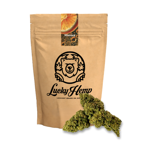 Mimosa Ökopack Blüten Lucky Hemp