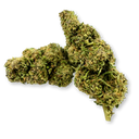 Moby Dick Ökopack Blüten Lucky Hemp