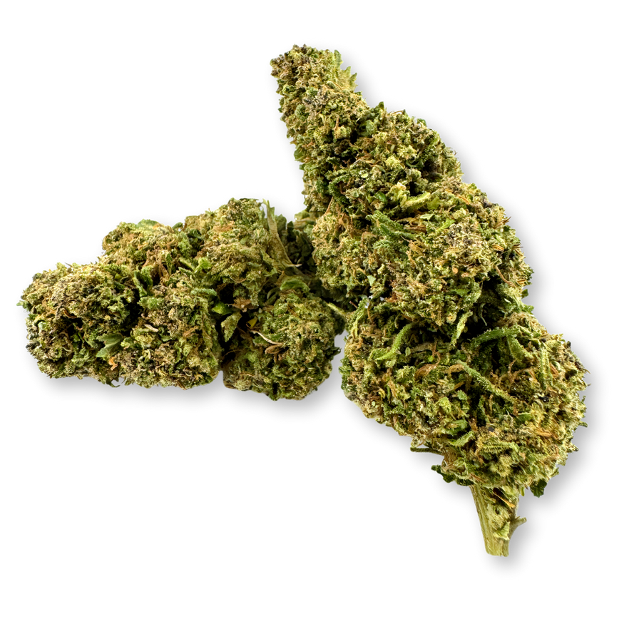 Moby Dick Ökopack Blüten Lucky Hemp