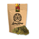 Tropical Haze Ökopack Blüten Lucky Hemp