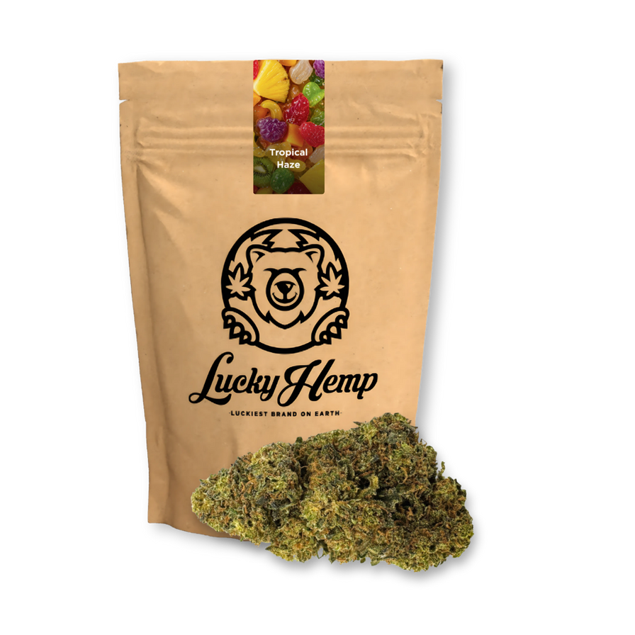 Tropical Haze Ökopack Blüten Lucky Hemp