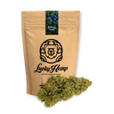 Blueberry Haze Ökopack Blüten Lucky Hemp