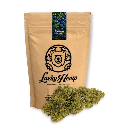 Blueberry Haze Ökopack Blüten Lucky Hemp