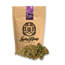 Purple Lemon Ökopack Blüten Lucky Hemp
