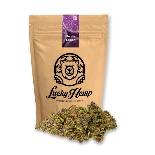 Purple Lemon Ökopack Blüten Lucky Hemp