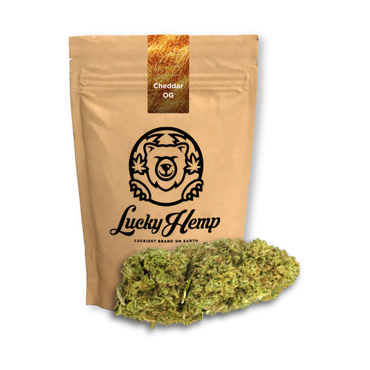 Cheddar OG Ökopack Blüten Lucky Hemp