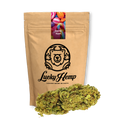 Candy Kush Blüten Lucky Hemp