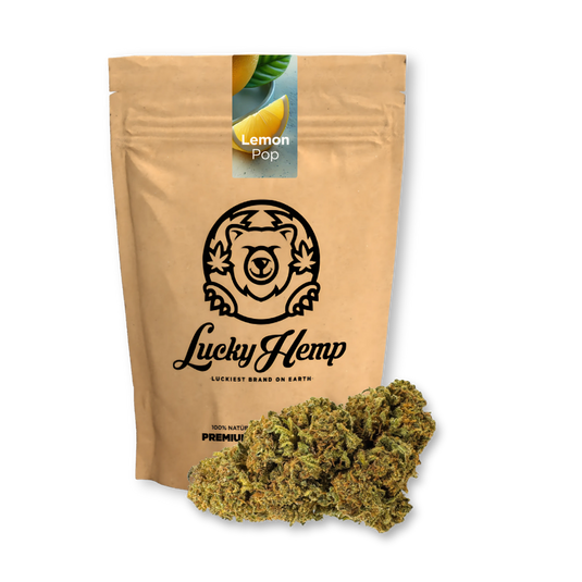 Lemon Pop Ökopack Blüten Lucky Hemp