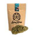 Earthquake Blüten Lucky Hemp