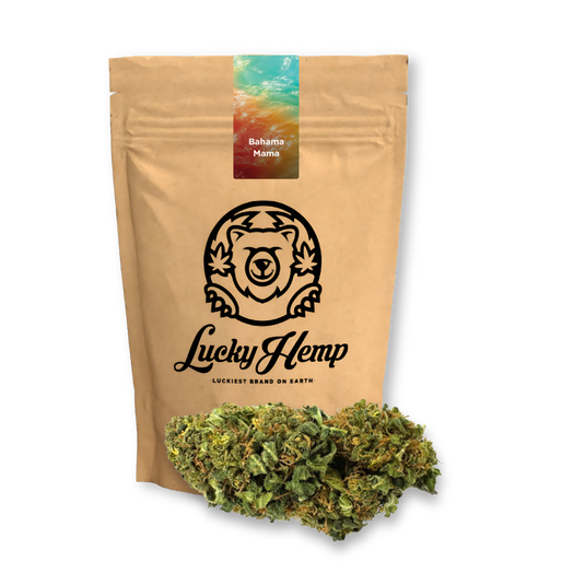 Bahama Mama Ökopack Blüten Lucky Hemp
