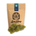 Blueberry Haze Ökopack