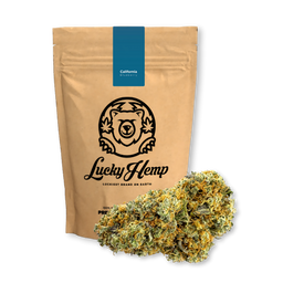 California Blueberry Ökopack Blüten Lucky Hemp