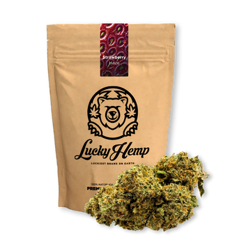 Strawberry Haze Ökopack Blüten Lucky Hemp