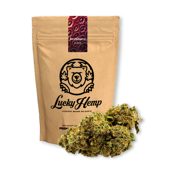 Strawberry Haze Ökopack Blüten Lucky Hemp
