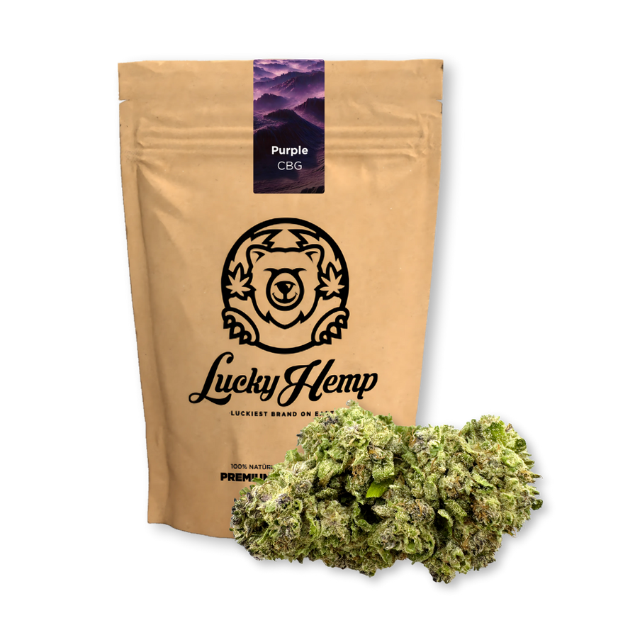 Purple CBG Ökopack Blüten Lucky Hemp