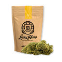 Lemon Gelato Ökopack Blüten Lucky Hemp