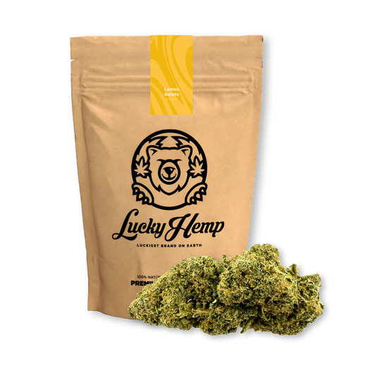 Lemon Gelato Ökopack Blüten Lucky Hemp
