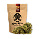 Orange Gelato Ökopack Blüten Lucky Hemp