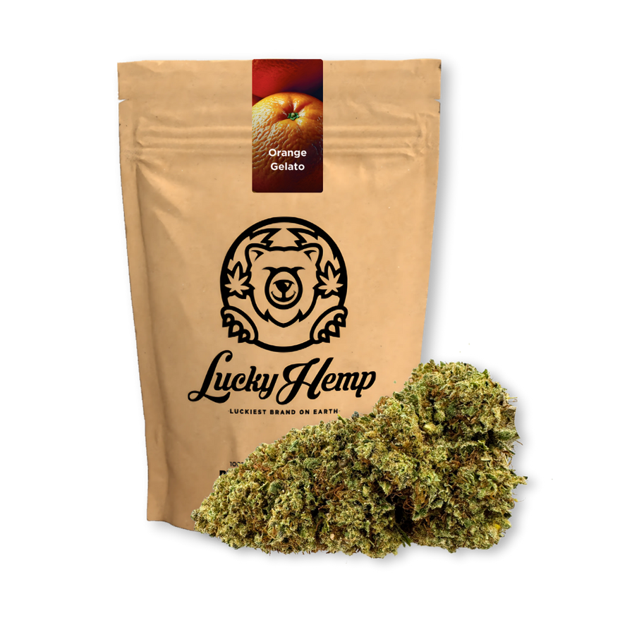 Orange Gelato Ökopack Blüten Lucky Hemp