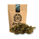 Critical Ökopack Blüten Lucky Hemp