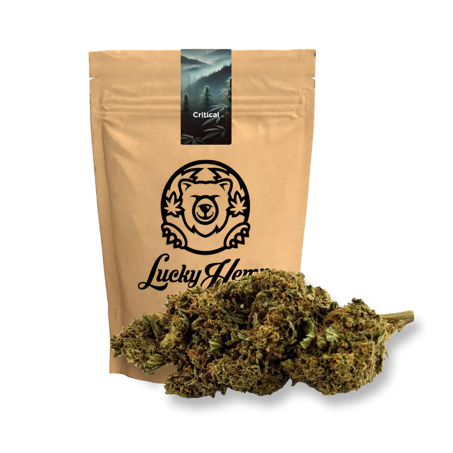 Critical Ökopack Blüten Lucky Hemp