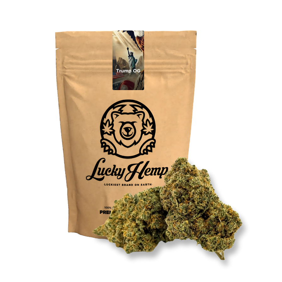 Trump OG Ökopack Blüten Lucky Hemp