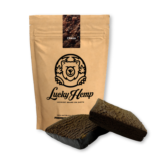 Charas Hash Ökopack Blüten Lucky Hemp