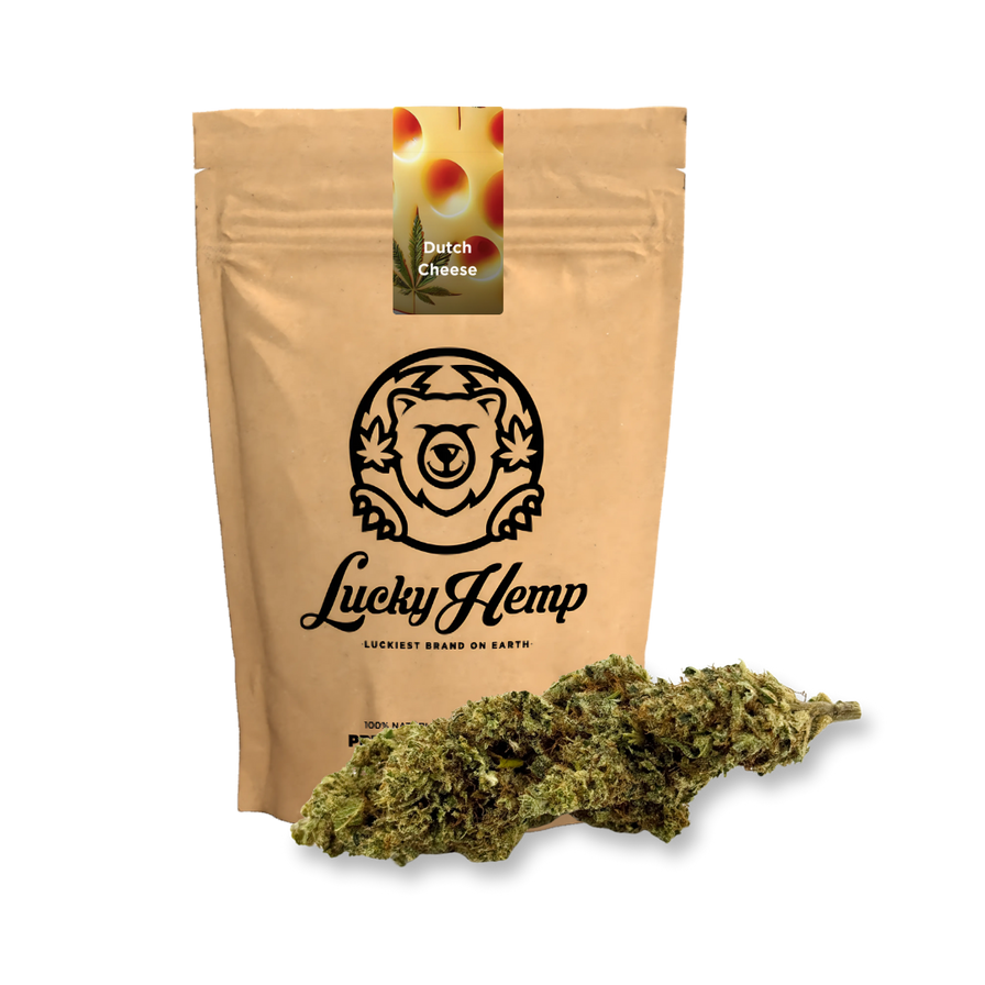 Dutch Cheese Ökopack Blüten Lucky Hemp