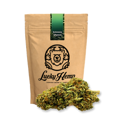 Amnesia Cheese Ökopack Blüten Lucky Hemp