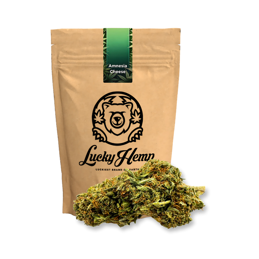 Amnesia Cheese Ökopack Blüten Lucky Hemp