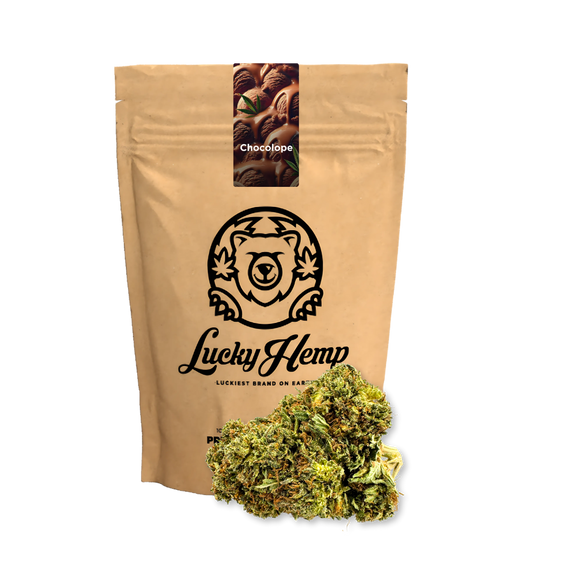 Chocolope Ökopack Blüten Lucky Hemp