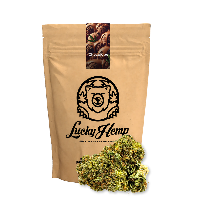 Chocolope Ökopack Blüten Lucky Hemp