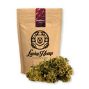 Strawberry Haze Ökopack Blüten Lucky Hemp