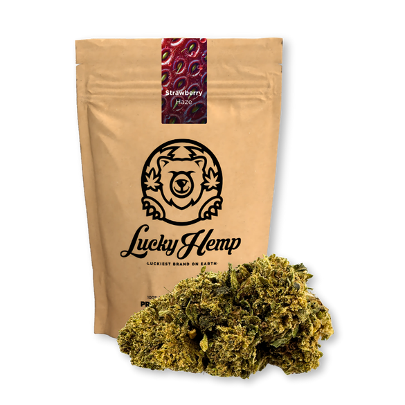 Strawberry Haze Ökopack Blüten Lucky Hemp