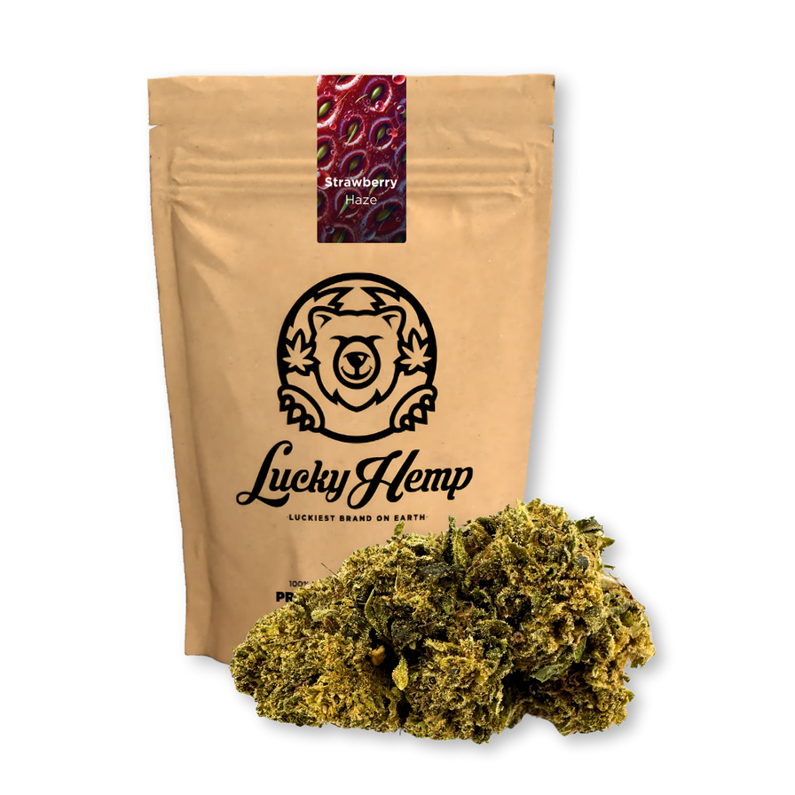 Strawberry Haze Ökopack Blüten Lucky Hemp