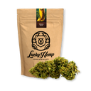 Banana Runtz Ökopack Blüten Lucky Hemp