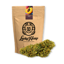 Peach Kush Blüten Lucky Hemp