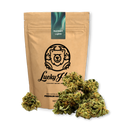 Popcorn Blüten Ökopack Blüten Lucky Hemp 10g Northern Lights