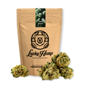 Popcorn Blüten Ökopack Blüten Lucky Hemp 10g CBG Punch