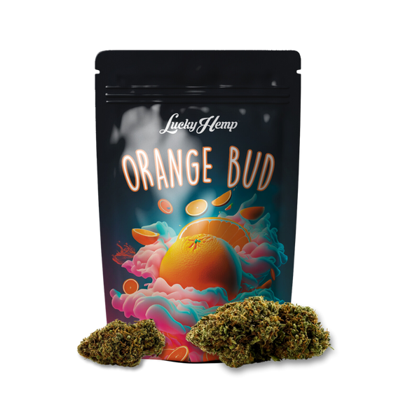 Orange Bud 3,5g Limited Pack Blüten Lucky Hemp