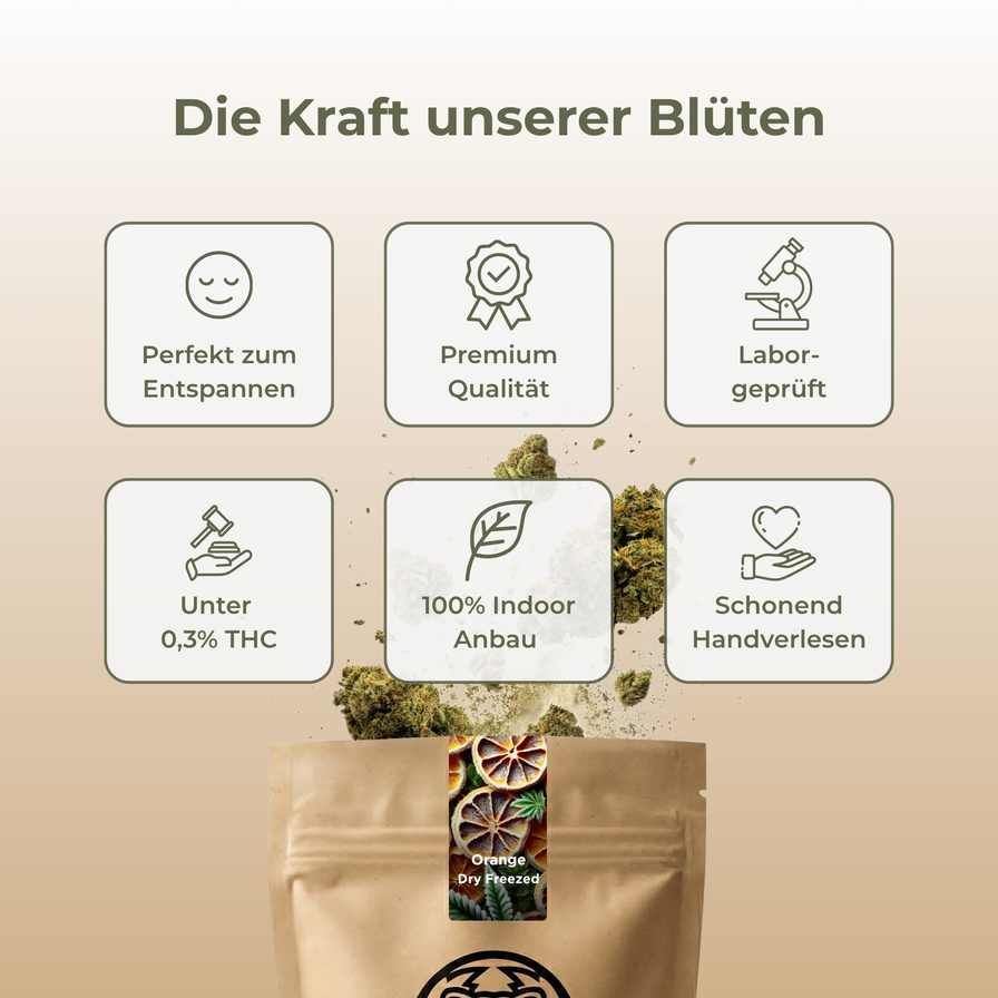Dry Freezed Blüten Blüten Lucky Hemp