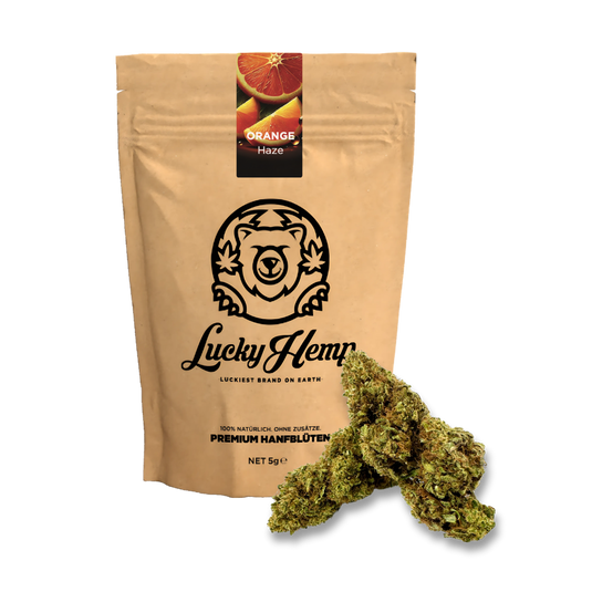 Gratis: Orange Haze Ökopack Blüten Lucky Hemp
