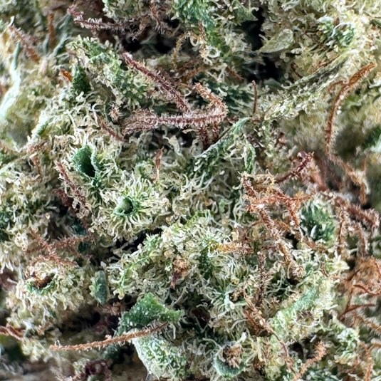 Gratis: Orange Haze Ökopack Blüten Lucky Hemp
