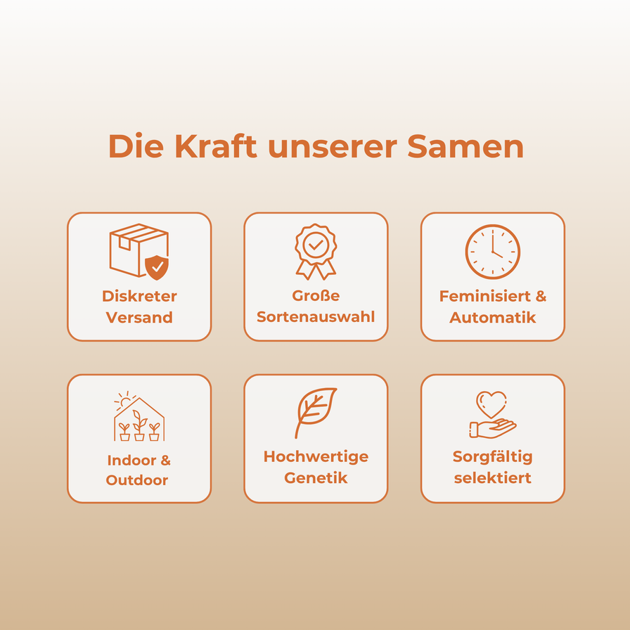 Orange CBD Samen Feminisiert Samen Lucky Hemp
