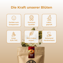 Orange Gelato Ökopack Blüten Lucky Hemp