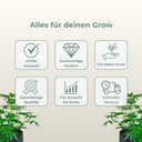 Terra Aquatica pH Test Kit Growzubehör Lucky Hemp