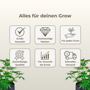 S&R Organics Vegan Phosphor Boost Growzubehör Green Power