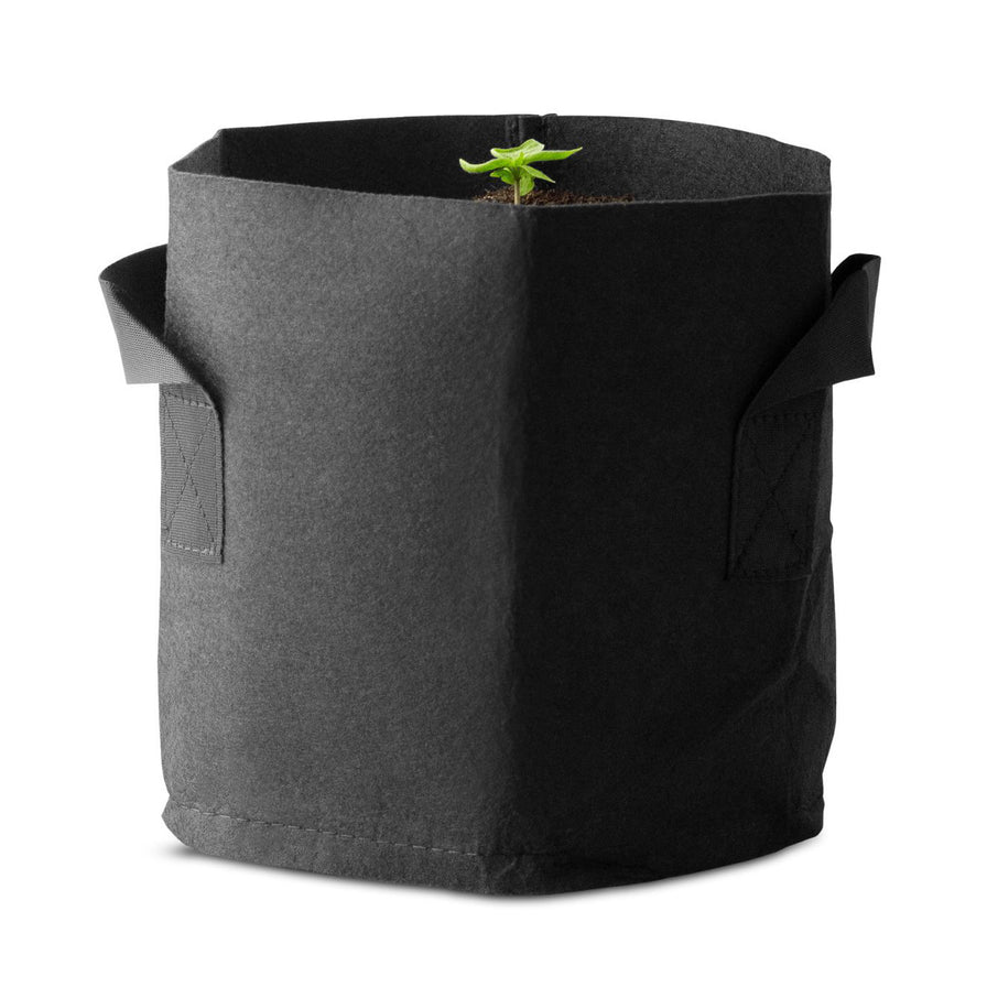 Growbox-Set Large 240 Watt Zubehör Lucky Hemp   